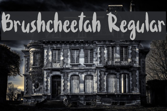 Brushcheetah Regular Example 2