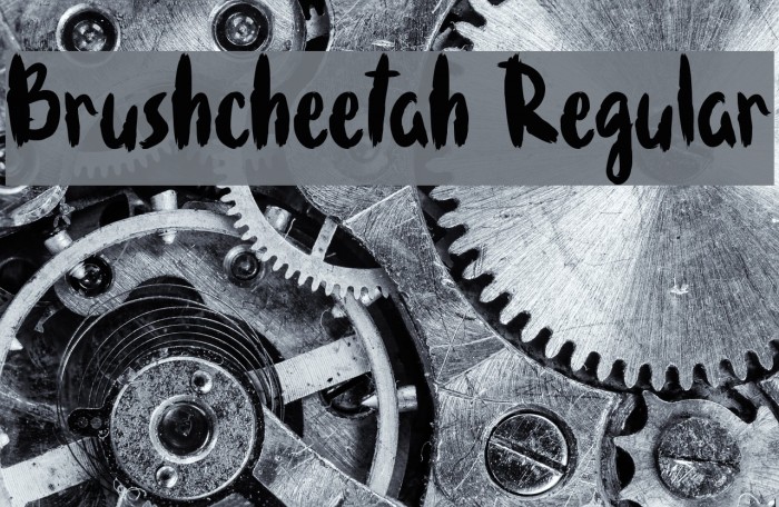Brushcheetah Regular Example 3
