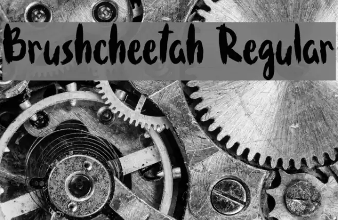 Brushcheetah Regular Font examples