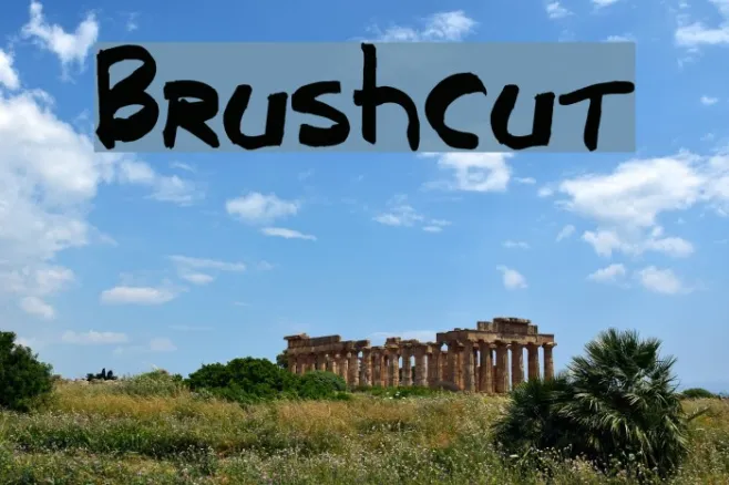 Brushcut Example 1