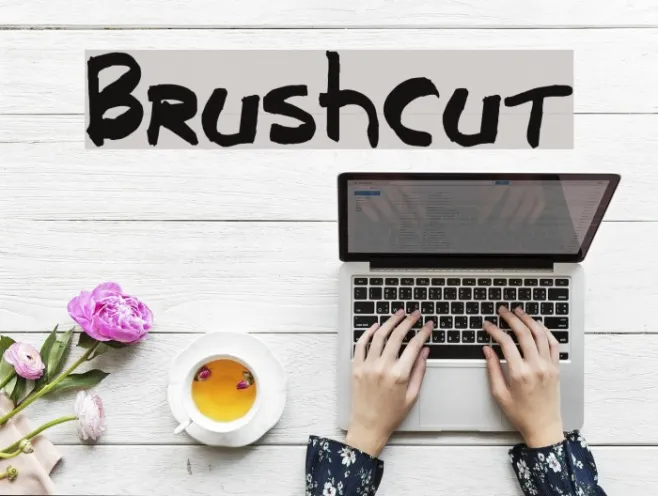 Brushcut Example 2