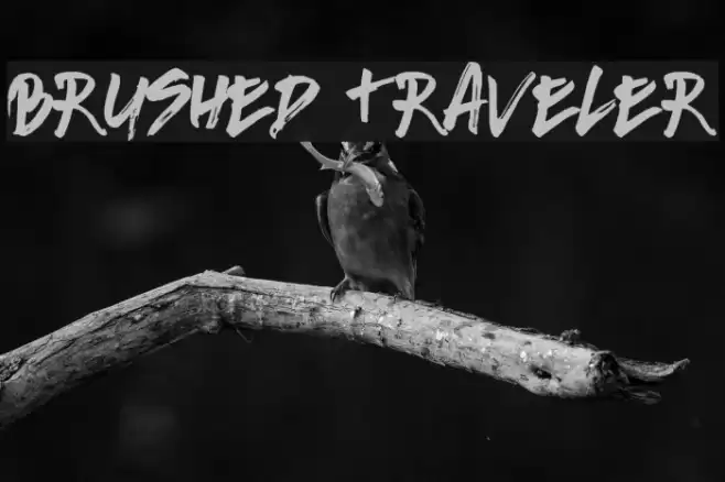 Brushed Traveler Font examples