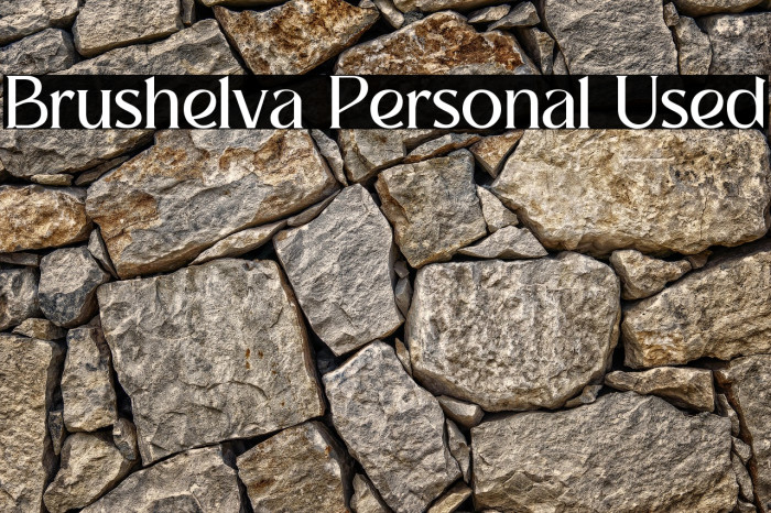 Brushelva Personal Used Example 1