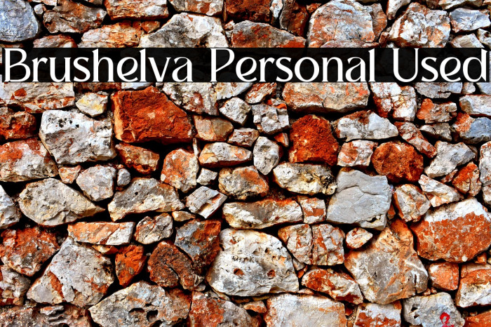 Brushelva Personal Used Example 2