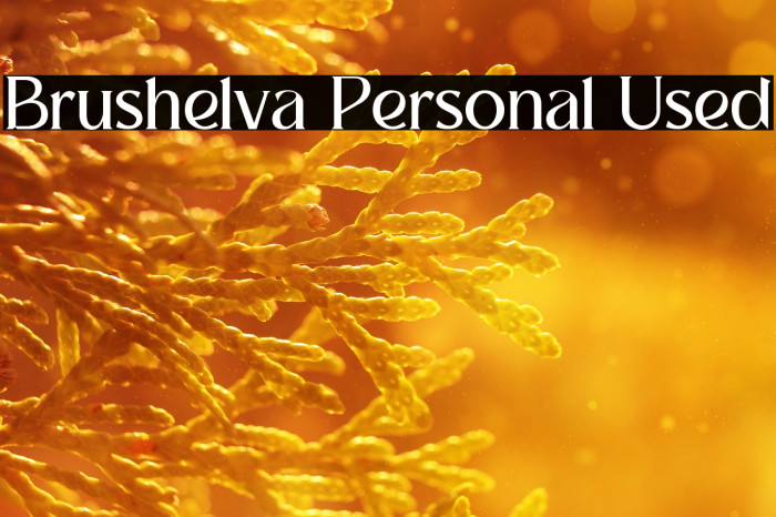 Brushelva Personal Used Example 3