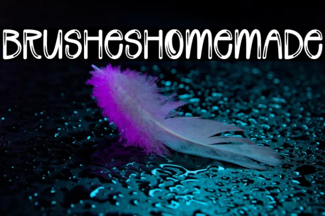 Brushes Homemade Example 1