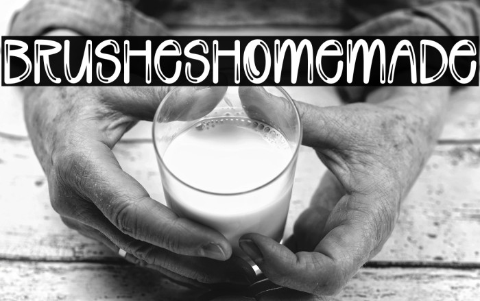 Brushes Homemade Example 3