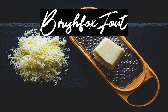 BrushfoxFont Example 1