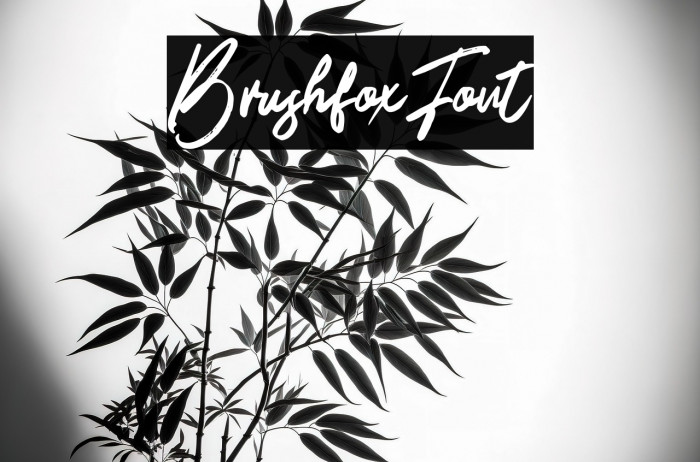 BrushfoxFont Example 2