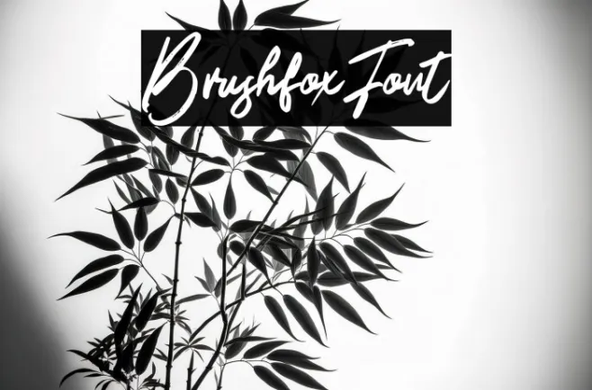 BrushfoxFont Example 2