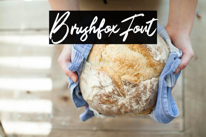 BrushfoxFont Example 3