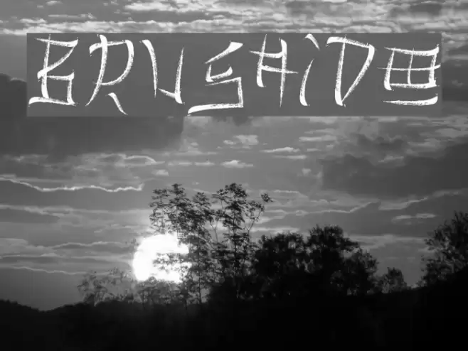 Brushido Font examples