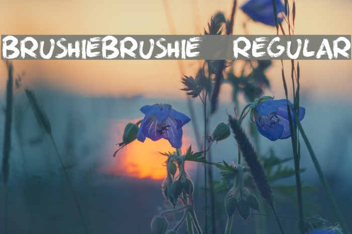 BrushieBrushie-Regular Example 1