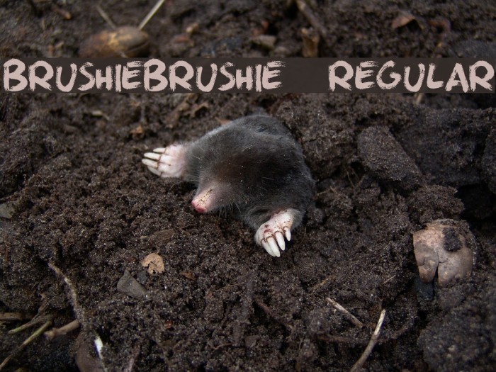 BrushieBrushie-Regular Example 2