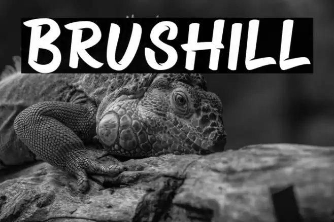 Brushill Font examples