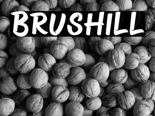 Brushill Font examples