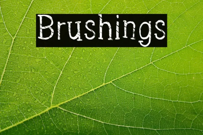 Brushings Example 2