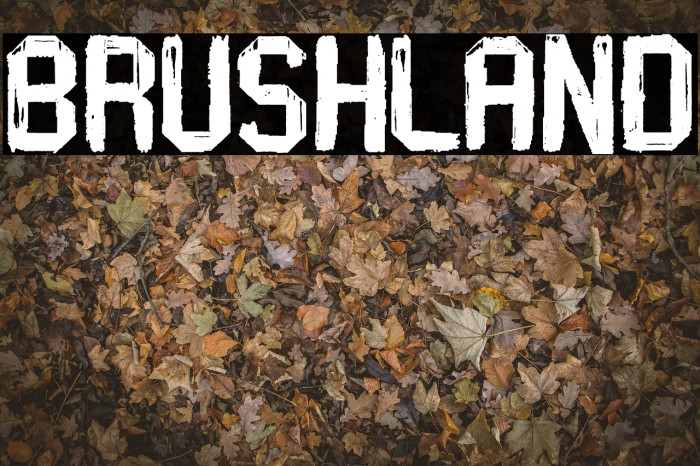Brushland Example 1