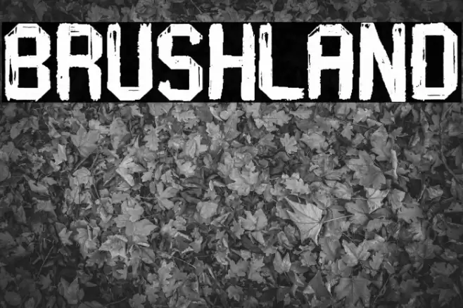 Brushland Font examples