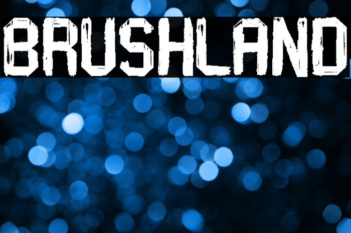 Brushland Example 2