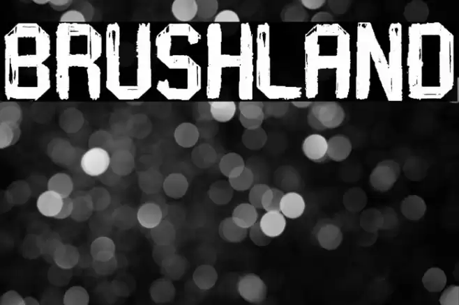 Brushland Font examples