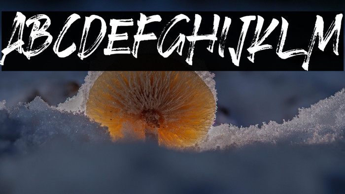 Brushlie Demo Example 2