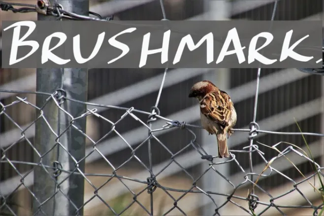 Brushmark. Example 2