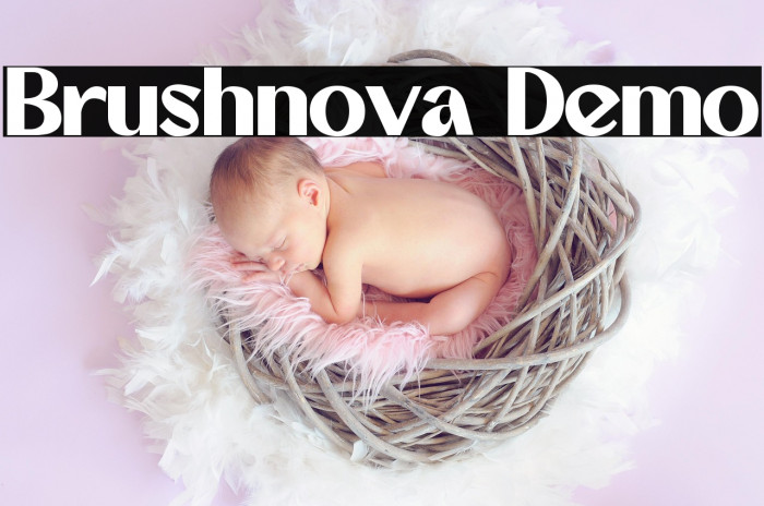 Brushnova Demo Example 1