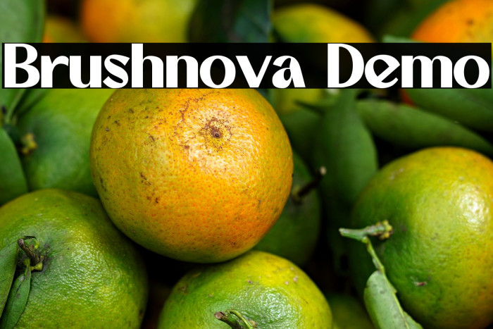 Brushnova Demo Example 2