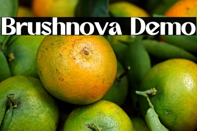 Brushnova Demo Example 2
