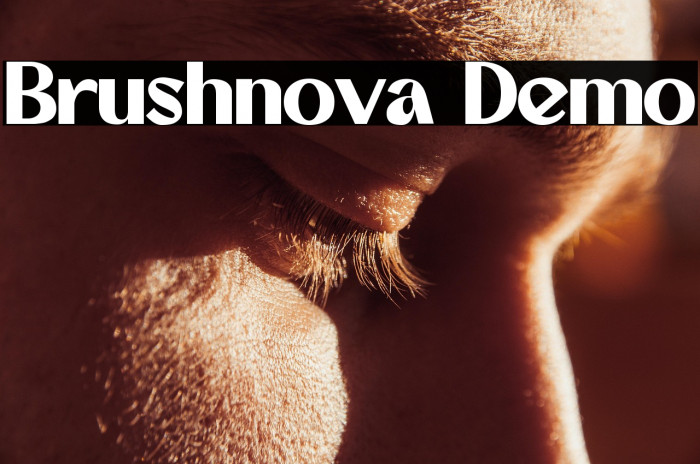 Brushnova Demo Example 3