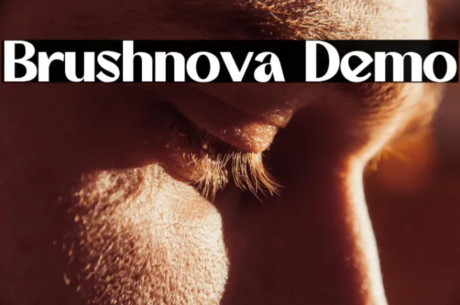 Brushnova Demo Example 3