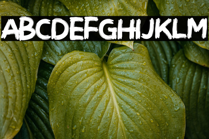 Brushot Bold Example 1