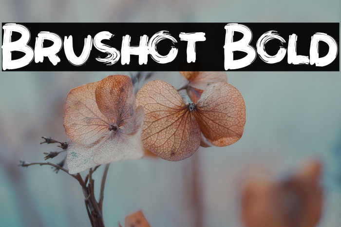 Brushot Bold Example 1