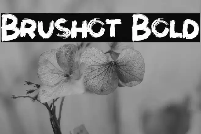 Brushot Bold Font examples