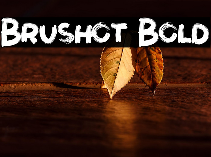Brushot Bold Example 3
