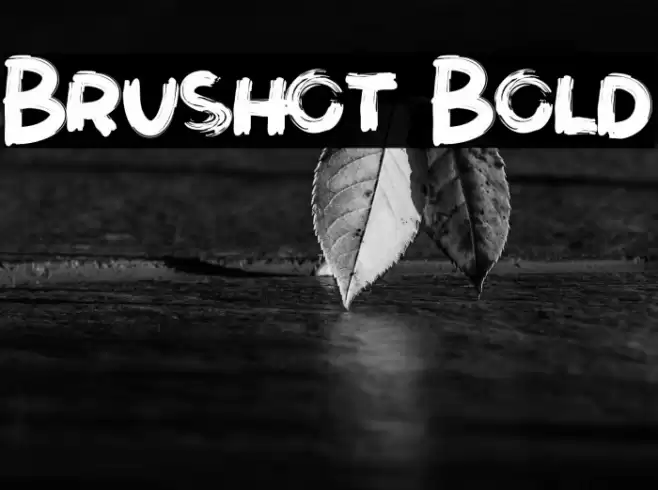 Brushot Bold Font examples