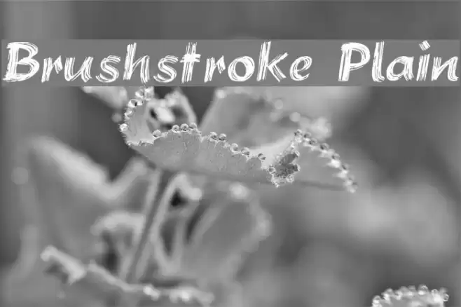 Brushstroke Plain Font examples