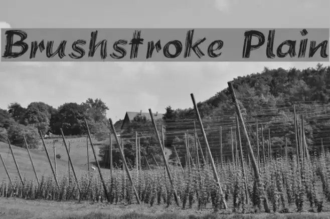 Brushstroke Plain Font examples