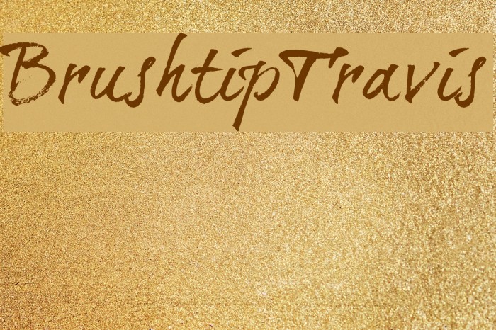 BrushtipTravis Example 3