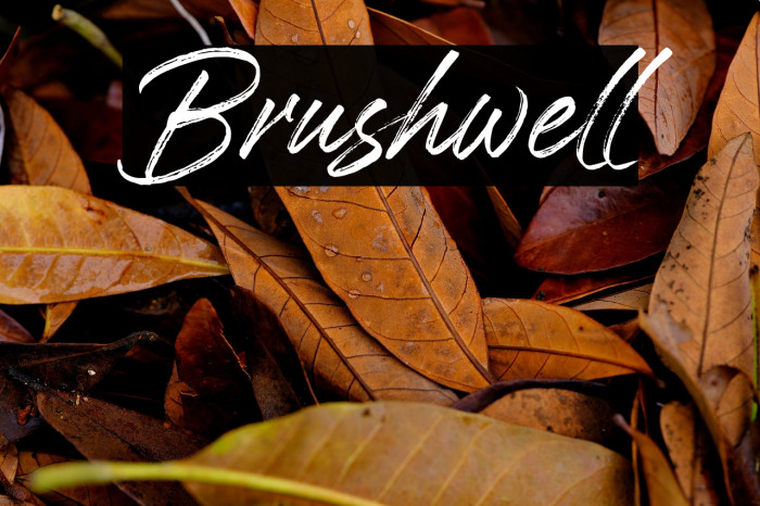 Brushwell Example 1