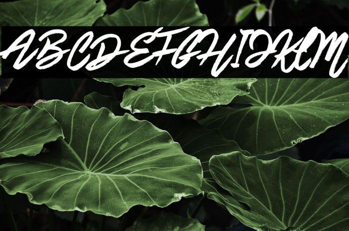 Brushy Script Example 2