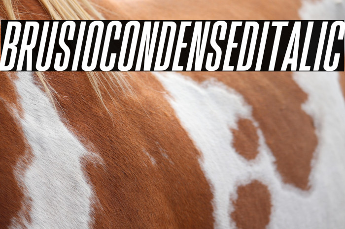 BrusioCondensedItalic Example 2