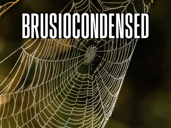 BrusioCondensed Example 1