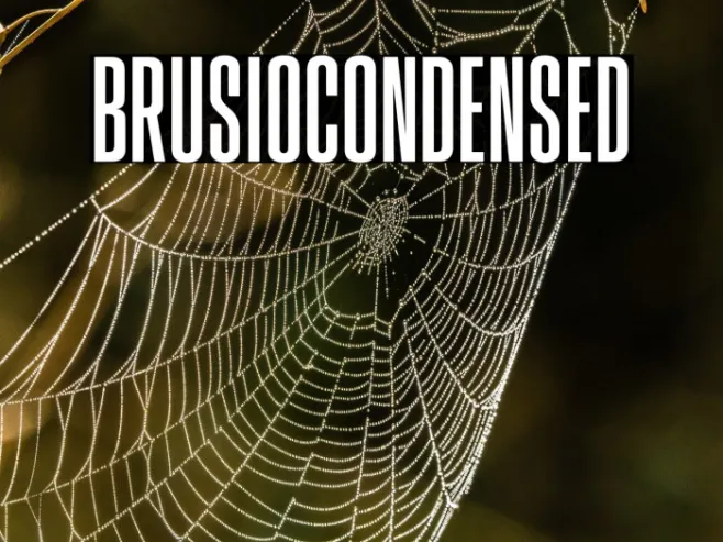 BrusioCondensed Example 1