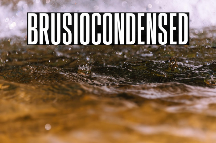 BrusioCondensed Example 3