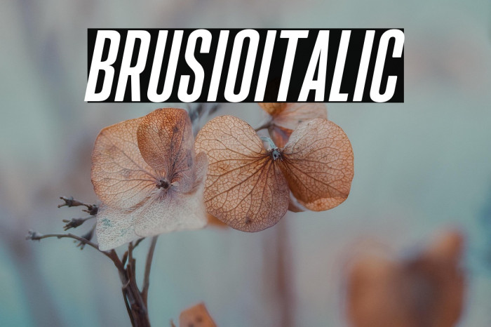 BrusioItalic Example 1