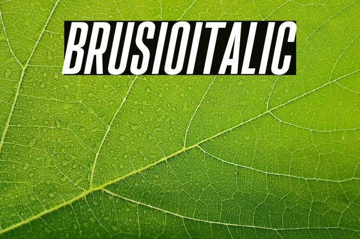 BrusioItalic Example 2