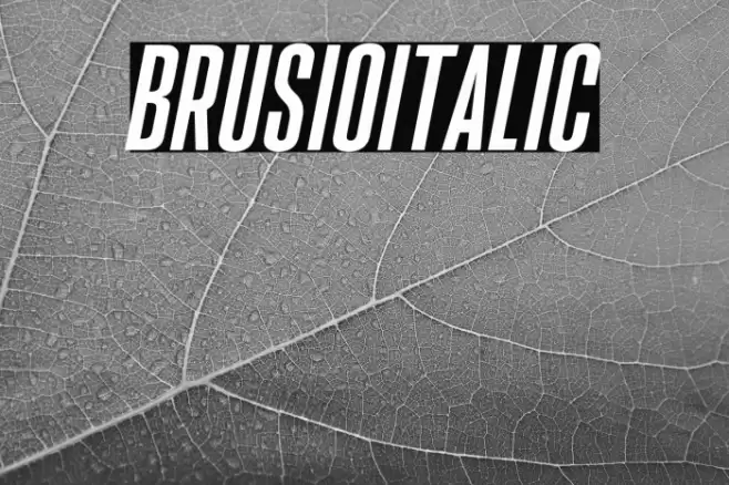 BrusioItalic Font examples