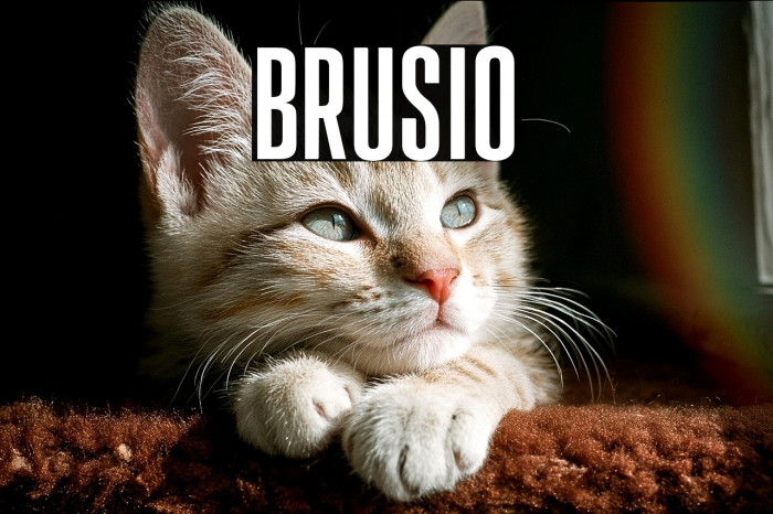 Brusio Example 1